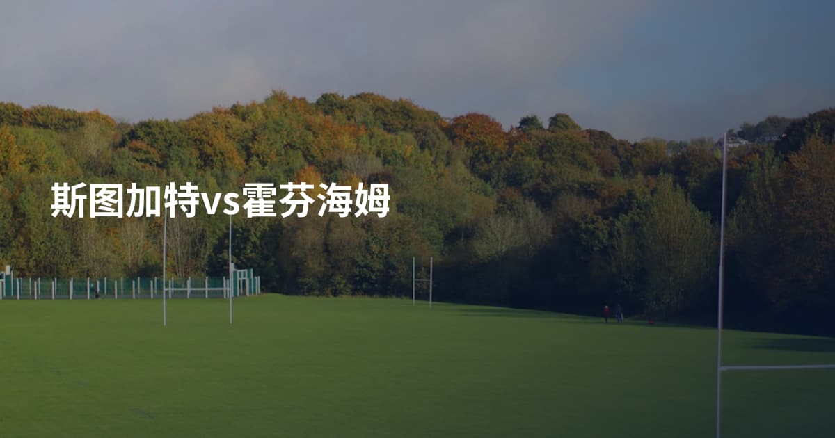 斯图加特vs霍芬海姆
