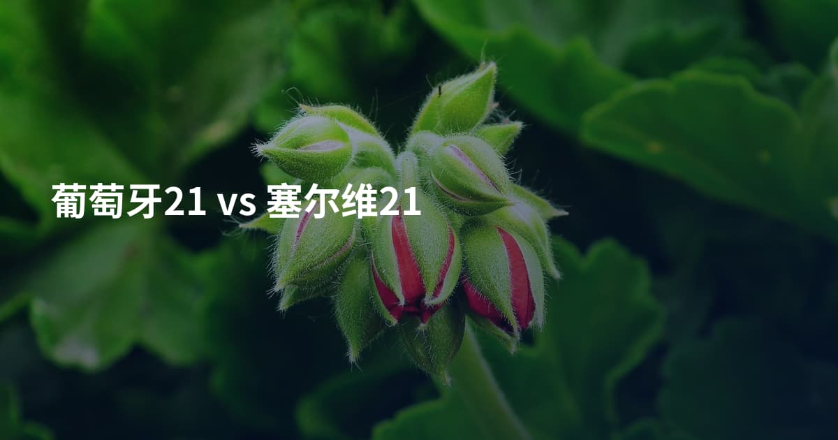 葡萄牙21 vs 塞尔维21