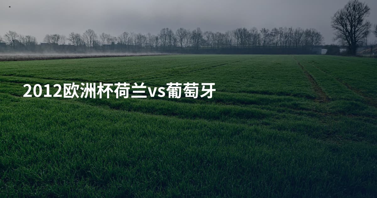 2012欧洲杯荷兰vs葡萄牙