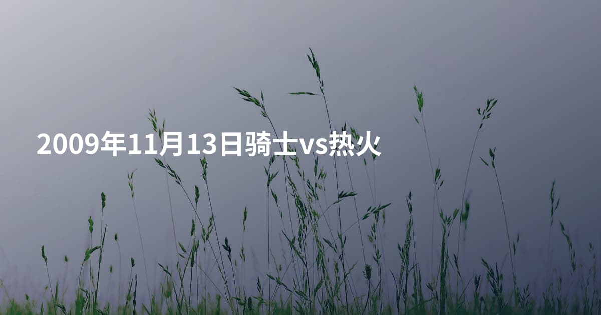 2009年11月13日骑士vs热火