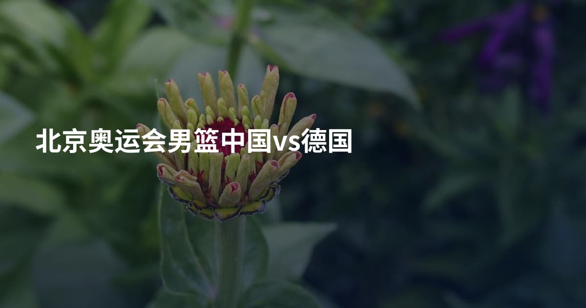 北京奥运会男篮中国vs德国