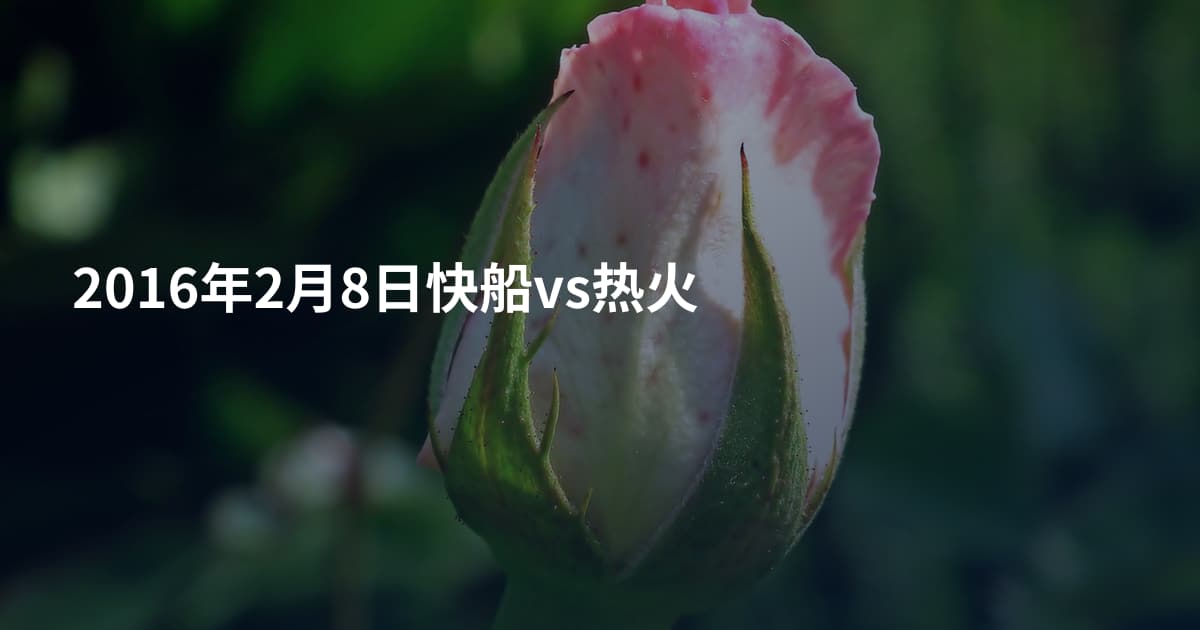 2016年2月8日快船vs热火