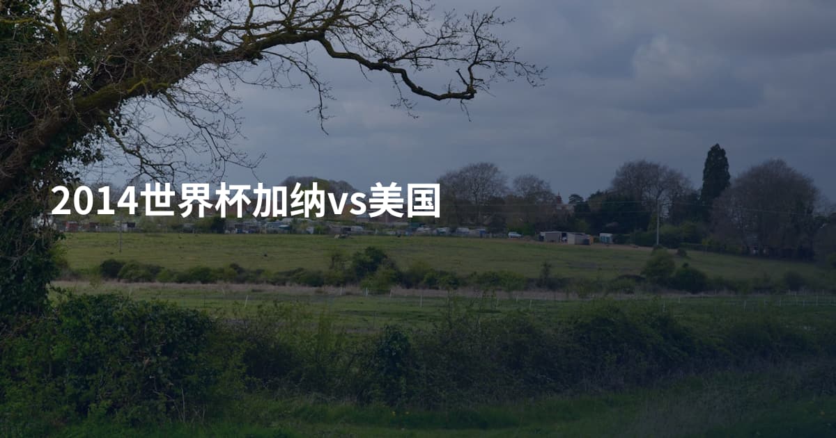2014世界杯加纳vs美国