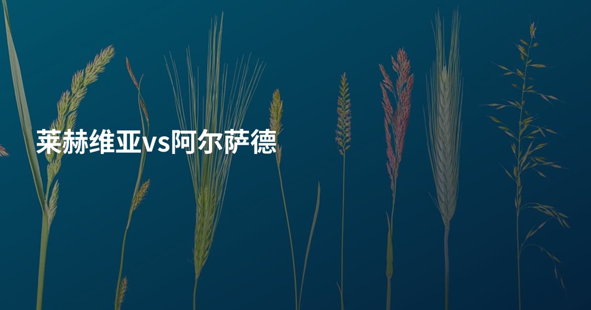莱赫维亚vs阿尔萨德