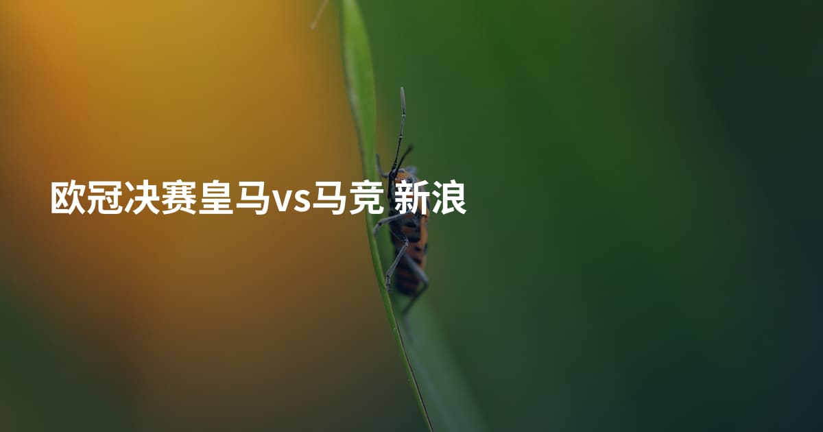 欧冠决赛皇马vs马竞 新浪