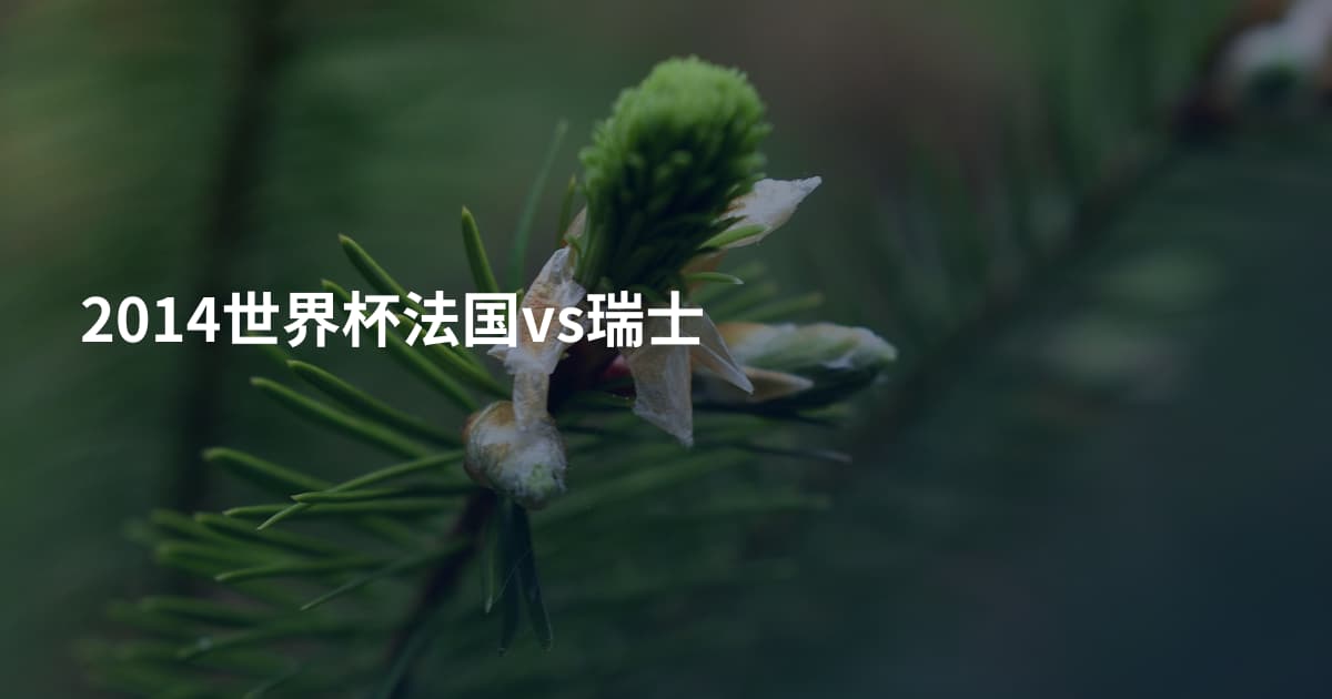 2014世界杯法国vs瑞士