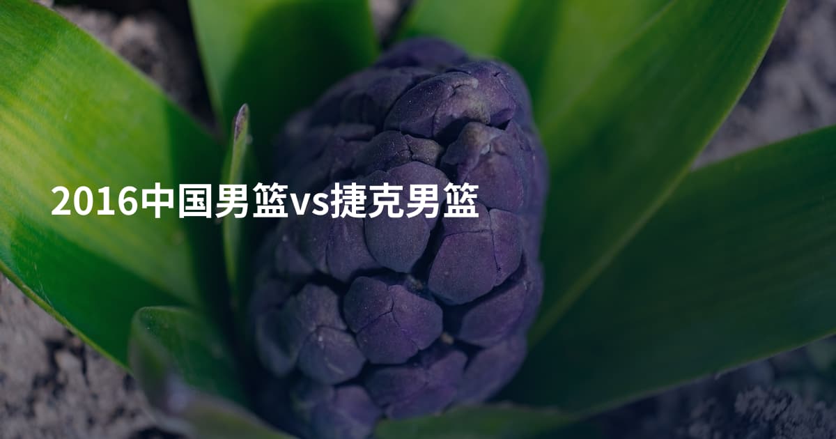 2016中国男篮vs捷克男篮