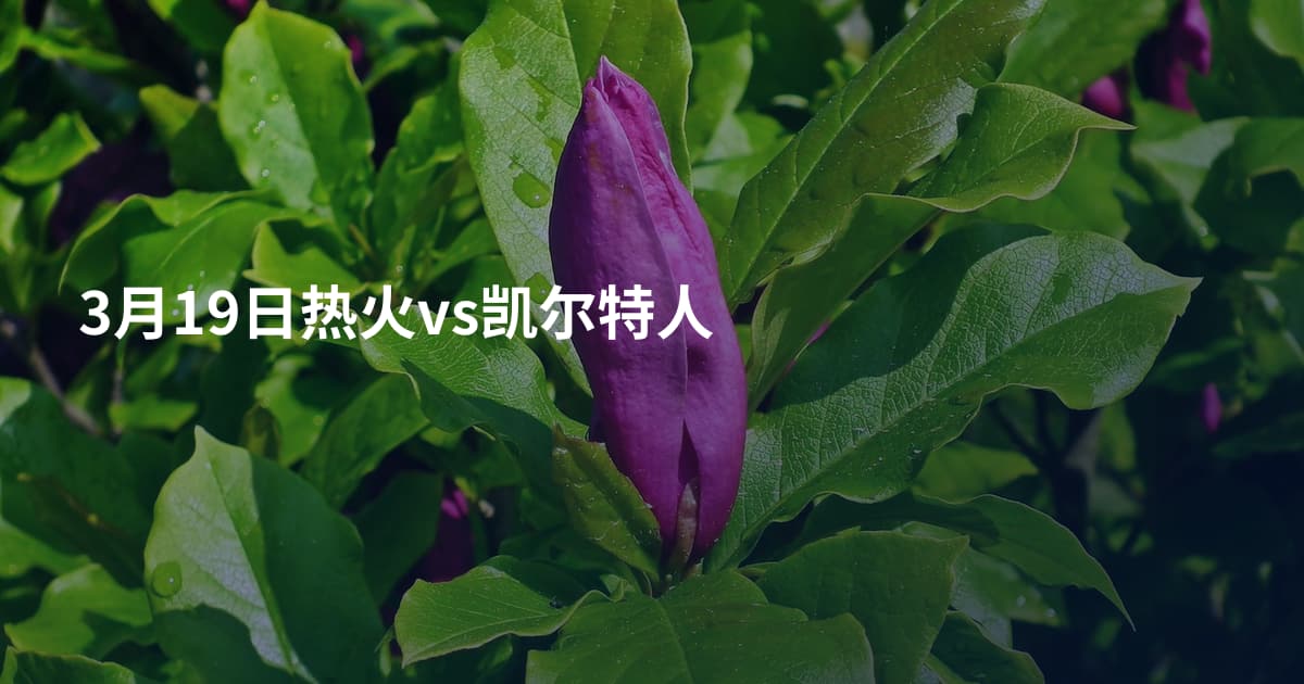 3月19日热火vs凯尔特人
