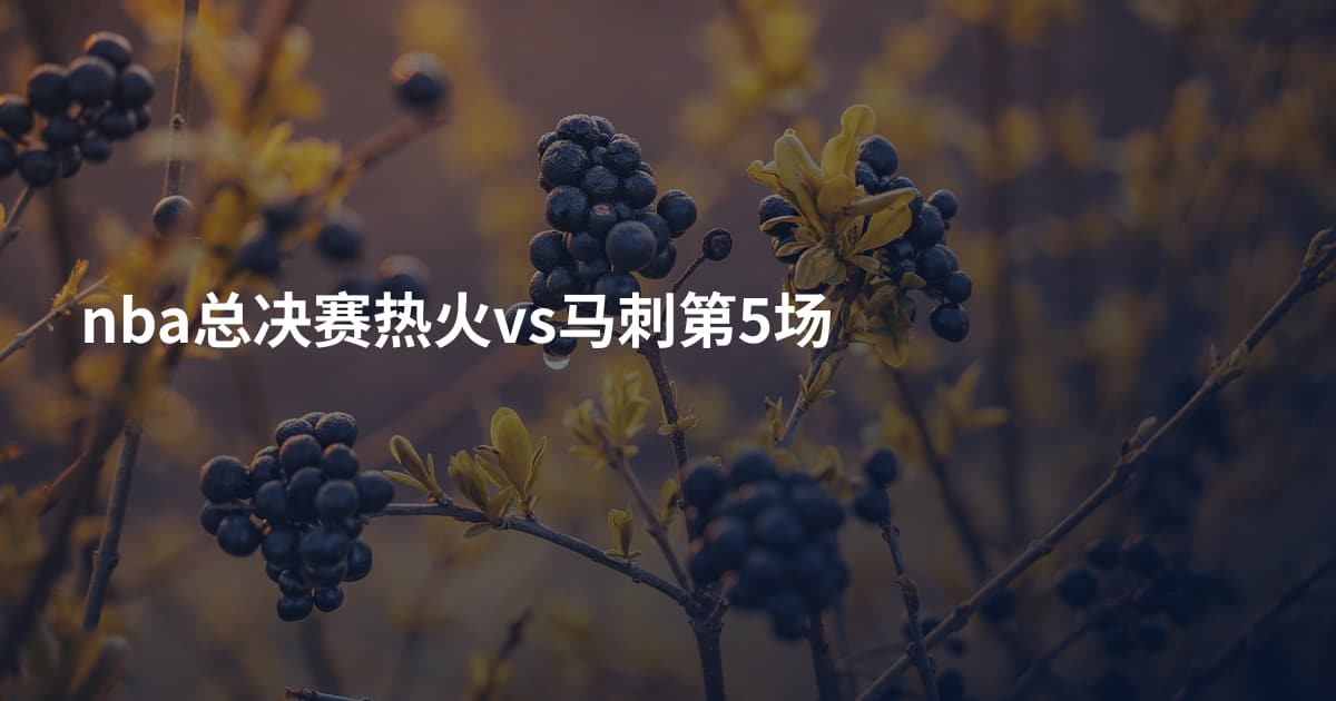 nba总决赛热火vs马刺第5场