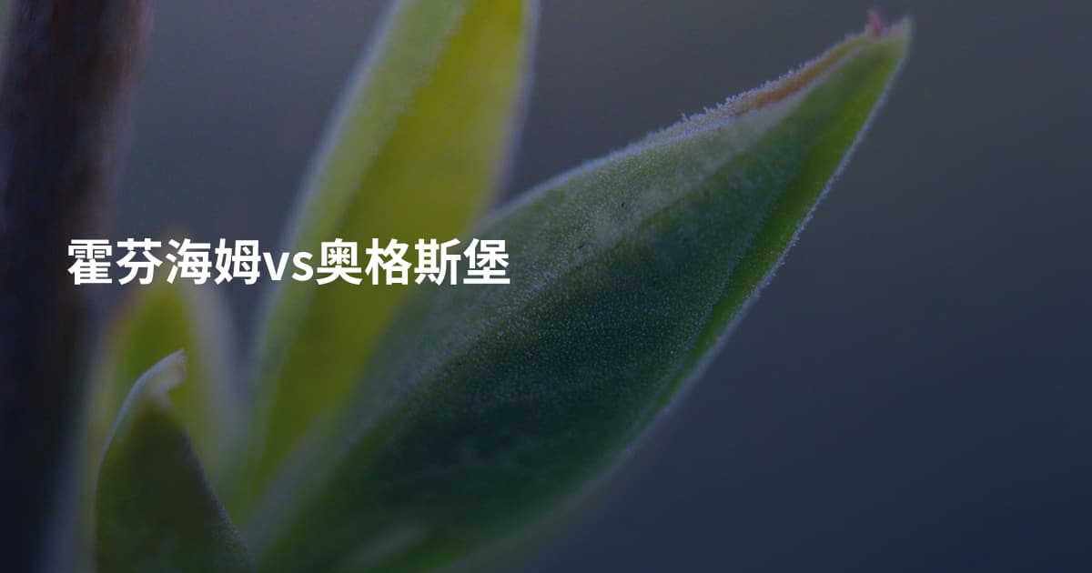霍芬海姆vs奥格斯堡