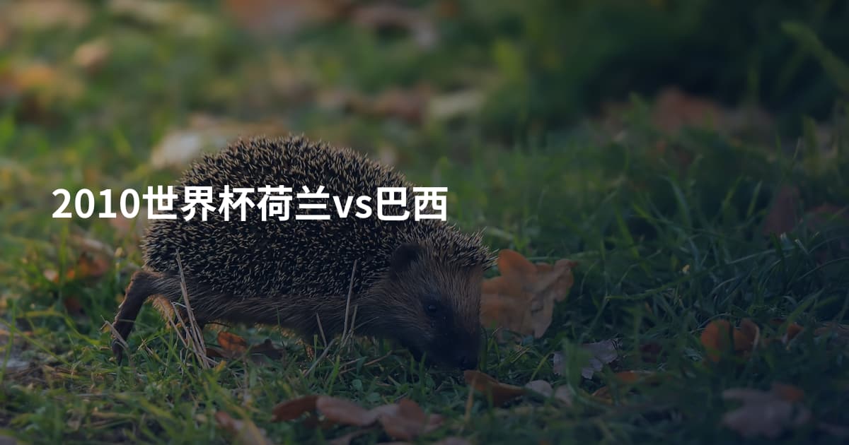 2010世界杯荷兰vs巴西