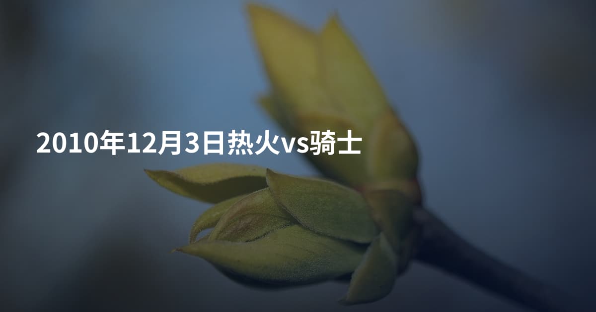 2010年12月3日热火vs骑士