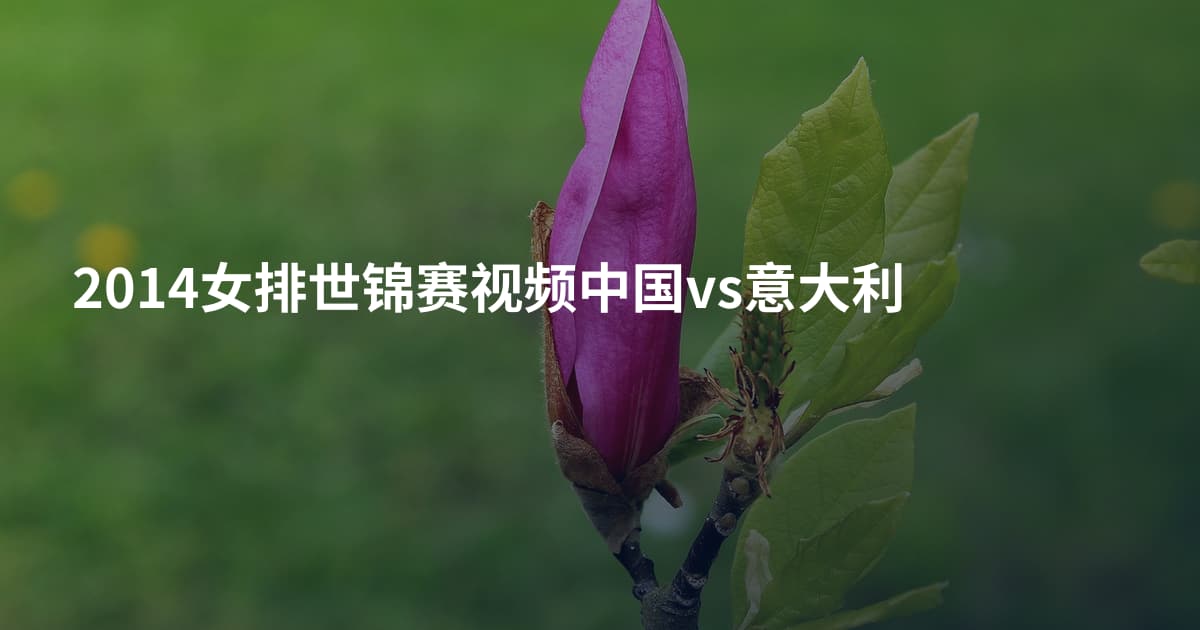 2014女排世锦赛视频中国vs意大利
