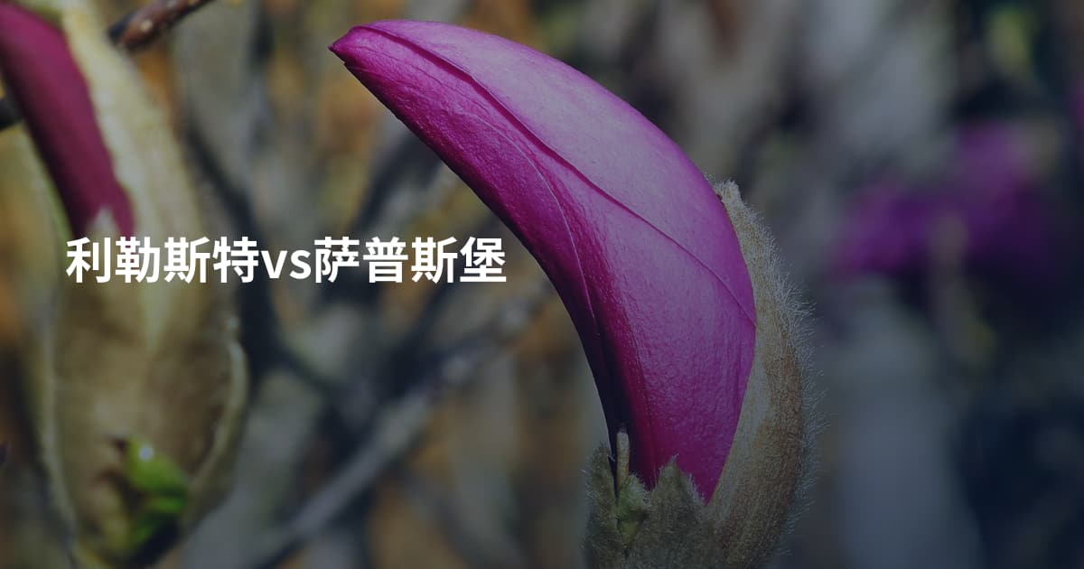 利勒斯特vs萨普斯堡