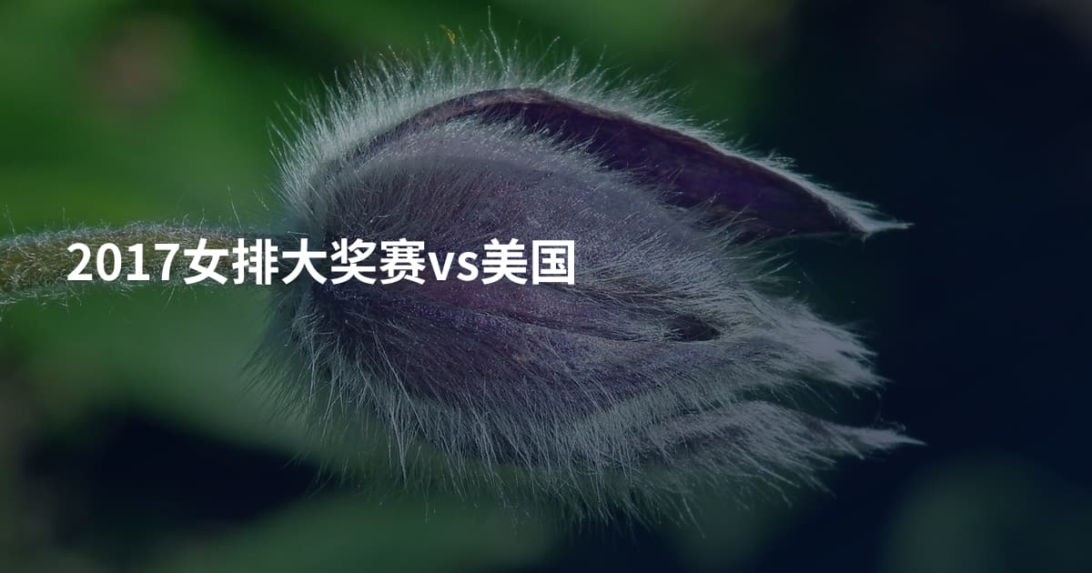 2017女排大奖赛vs美国