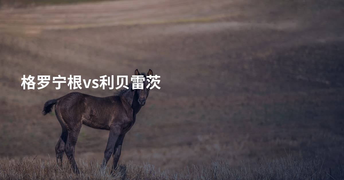 格罗宁根vs利贝雷茨