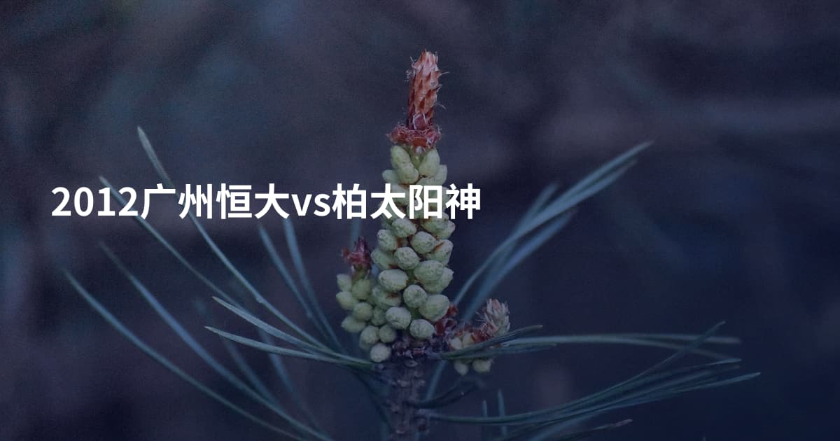 2012广州恒大vs柏太阳神