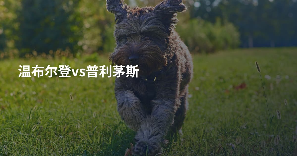 温布尔登vs普利茅斯