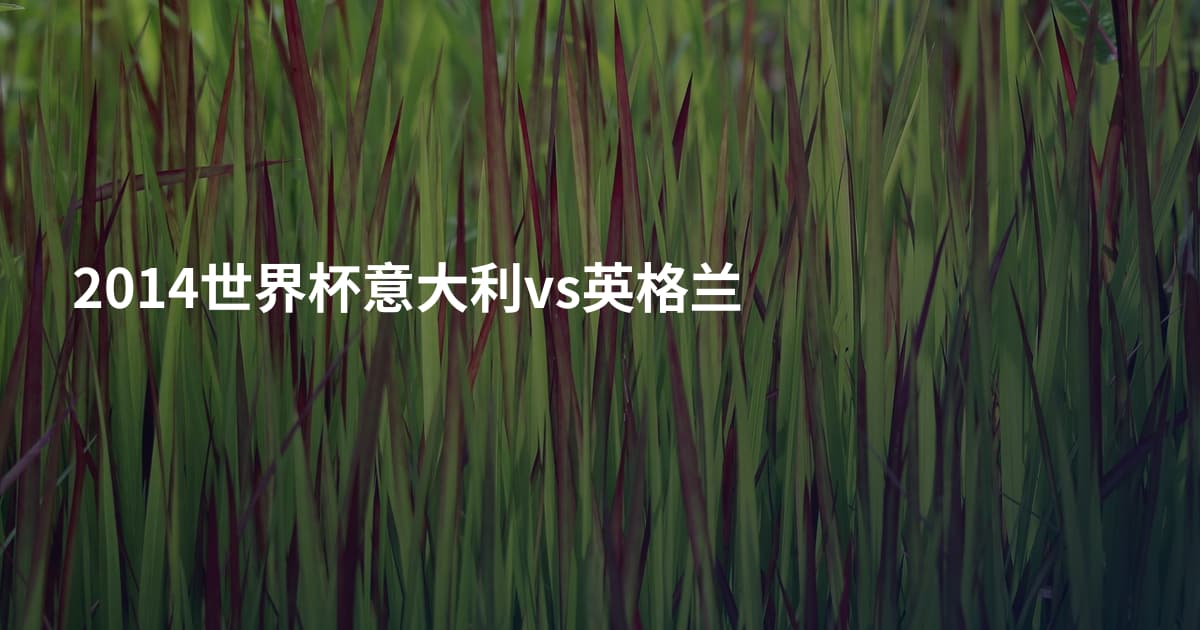 2014世界杯意大利vs英格兰
