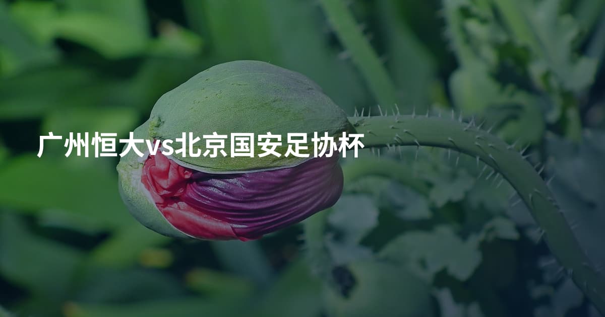广州恒大vs北京国安足协杯