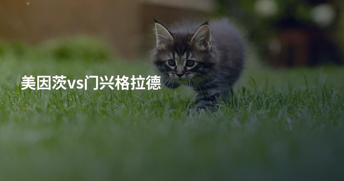 美因茨vs门兴格拉德