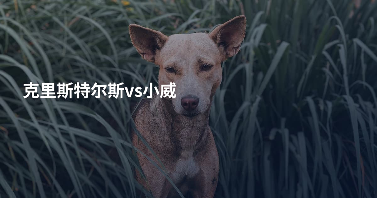 克里斯特尔斯vs小威