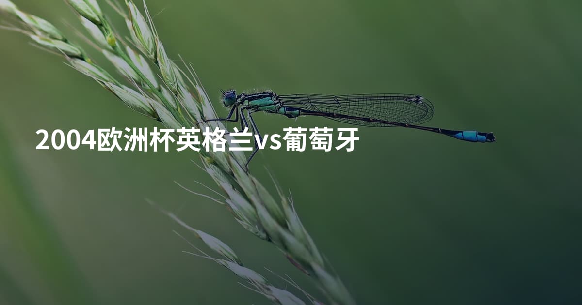 2004欧洲杯英格兰vs葡萄牙