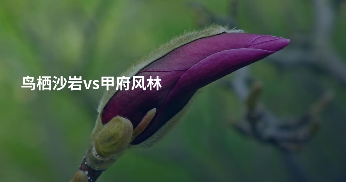 鸟栖沙岩vs甲府风林