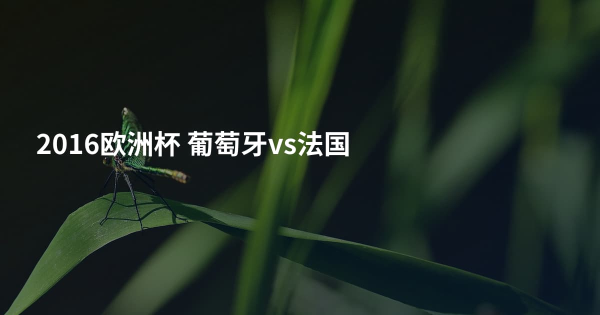 2016欧洲杯 葡萄牙vs法国