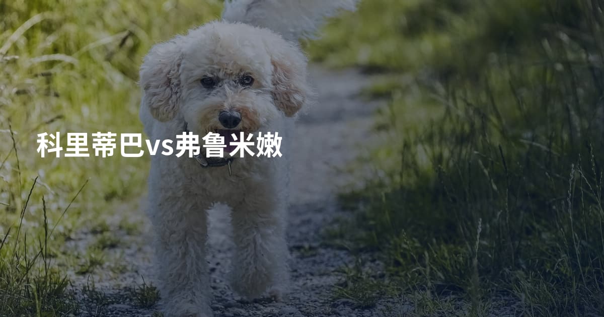 科里蒂巴vs弗鲁米嫩