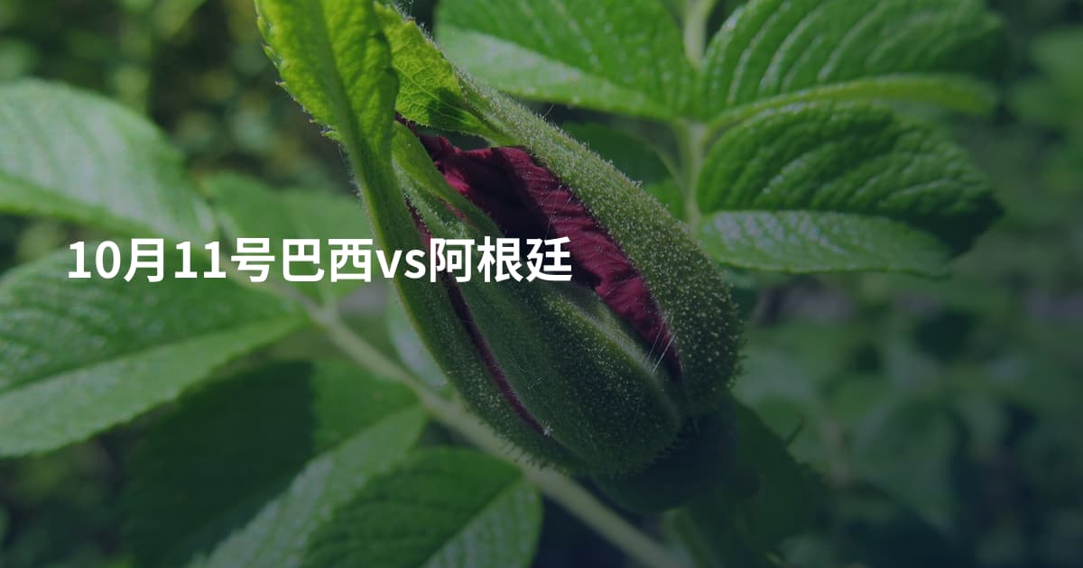 10月11号巴西vs阿根廷
