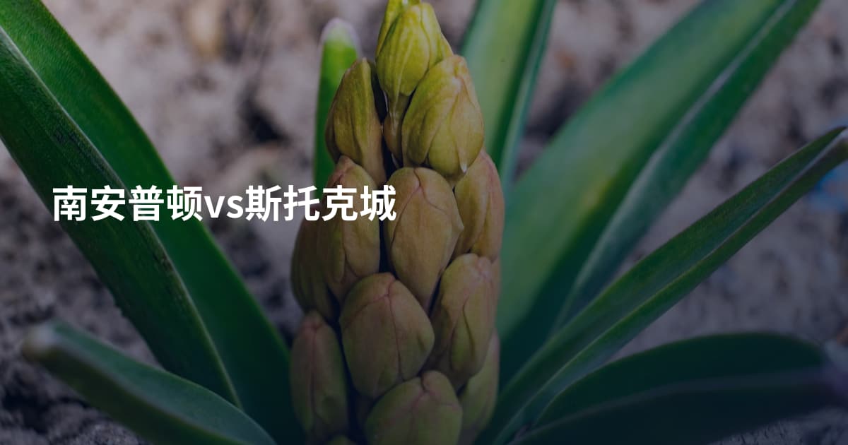 南安普顿vs斯托克城