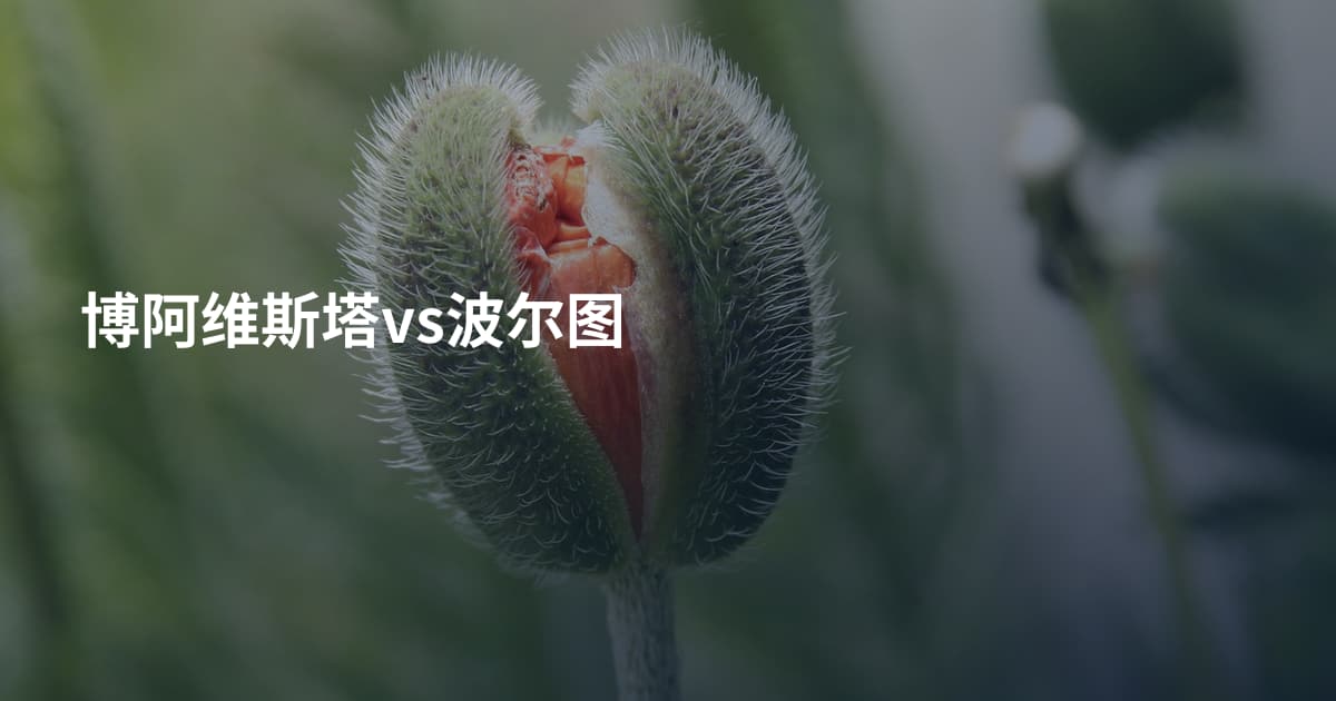 博阿维斯塔vs波尔图