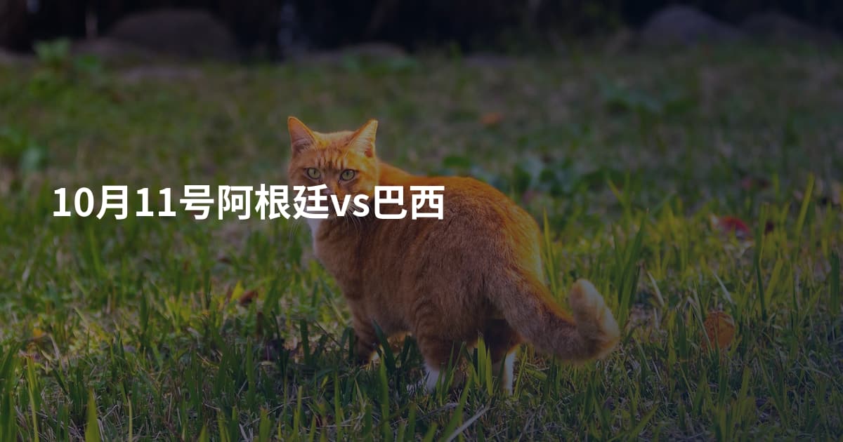 10月11号阿根廷vs巴西