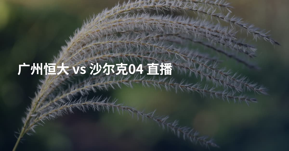广州恒大 vs 沙尔克04 直播
