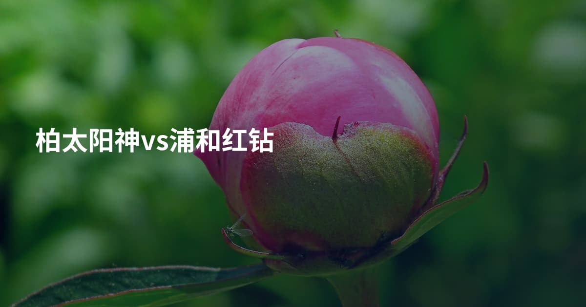柏太阳神vs浦和红钻