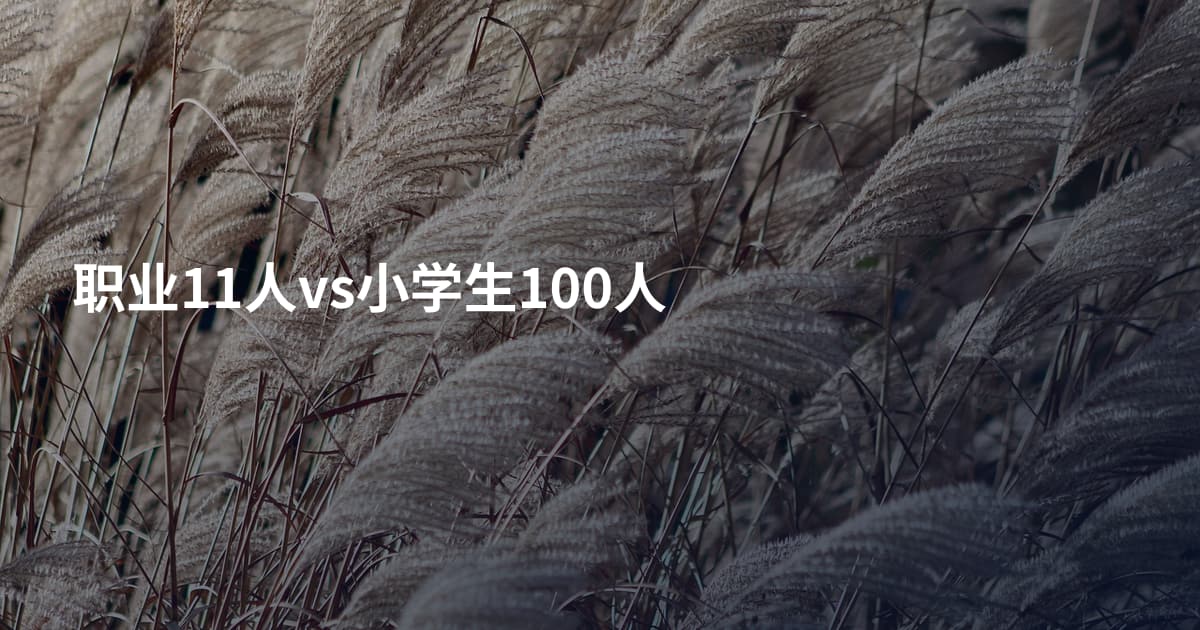 职业11人vs小学生100人