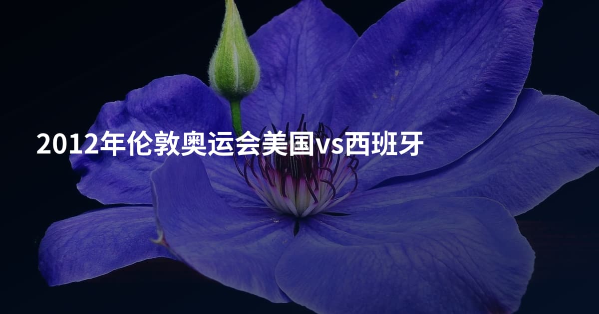 2012年伦敦奥运会美国vs西班牙