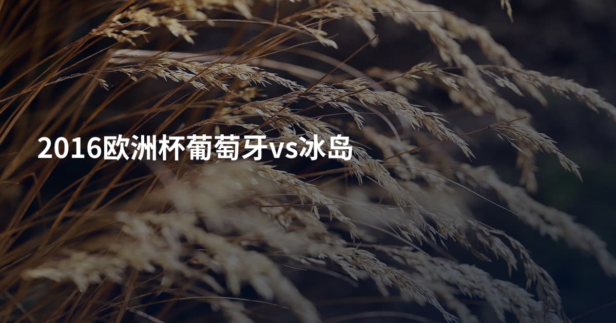 2016欧洲杯葡萄牙vs冰岛