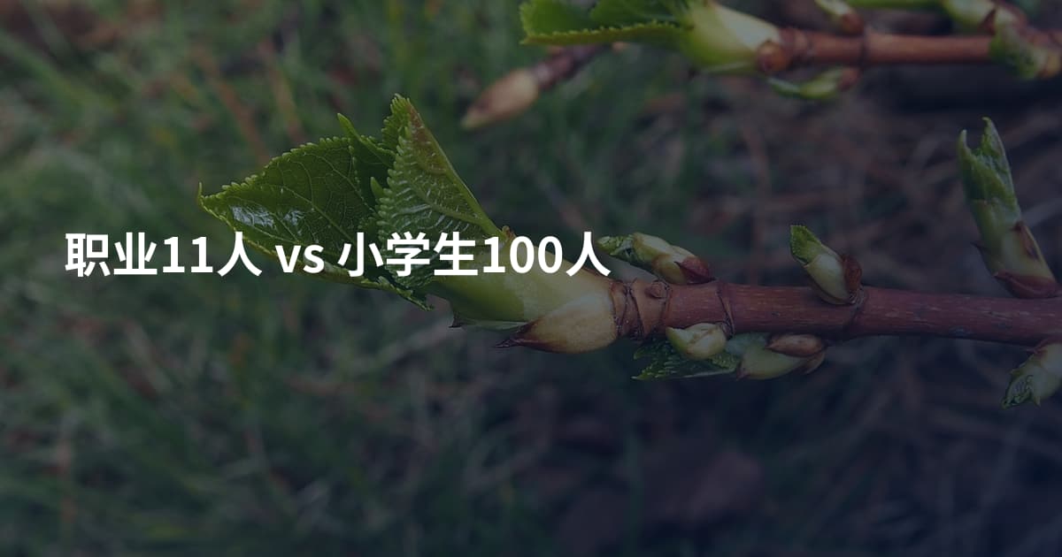 职业11人 vs 小学生100人