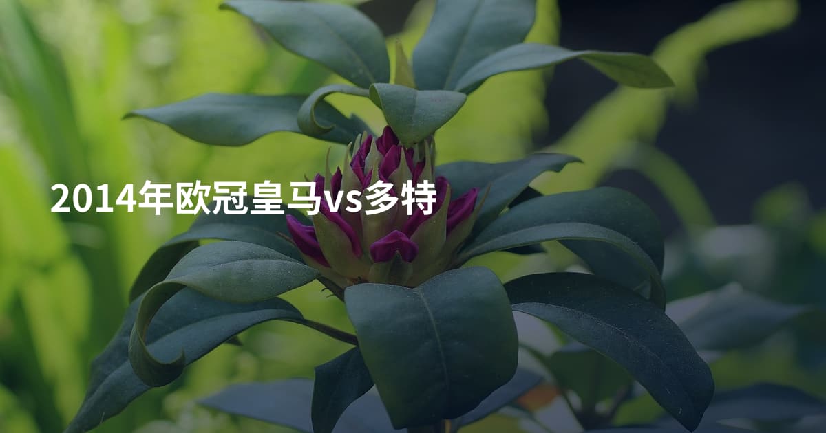 2014年欧冠皇马vs多特