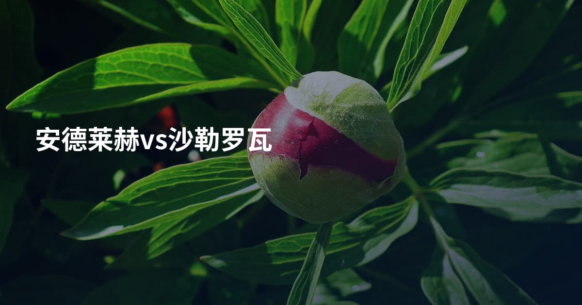 安德莱赫vs沙勒罗瓦