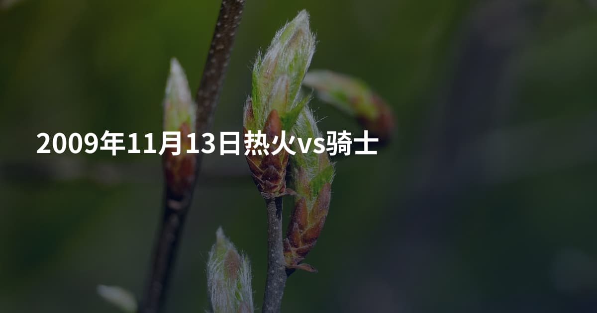 2009年11月13日热火vs骑士