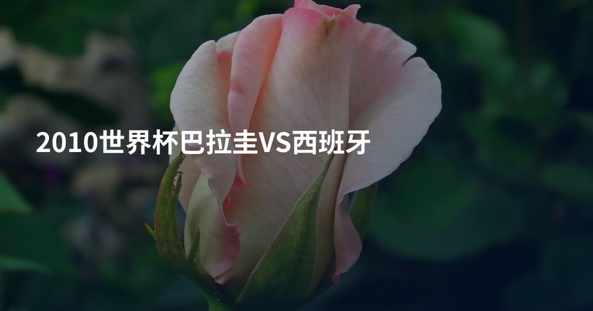2010世界杯巴拉圭VS西班牙