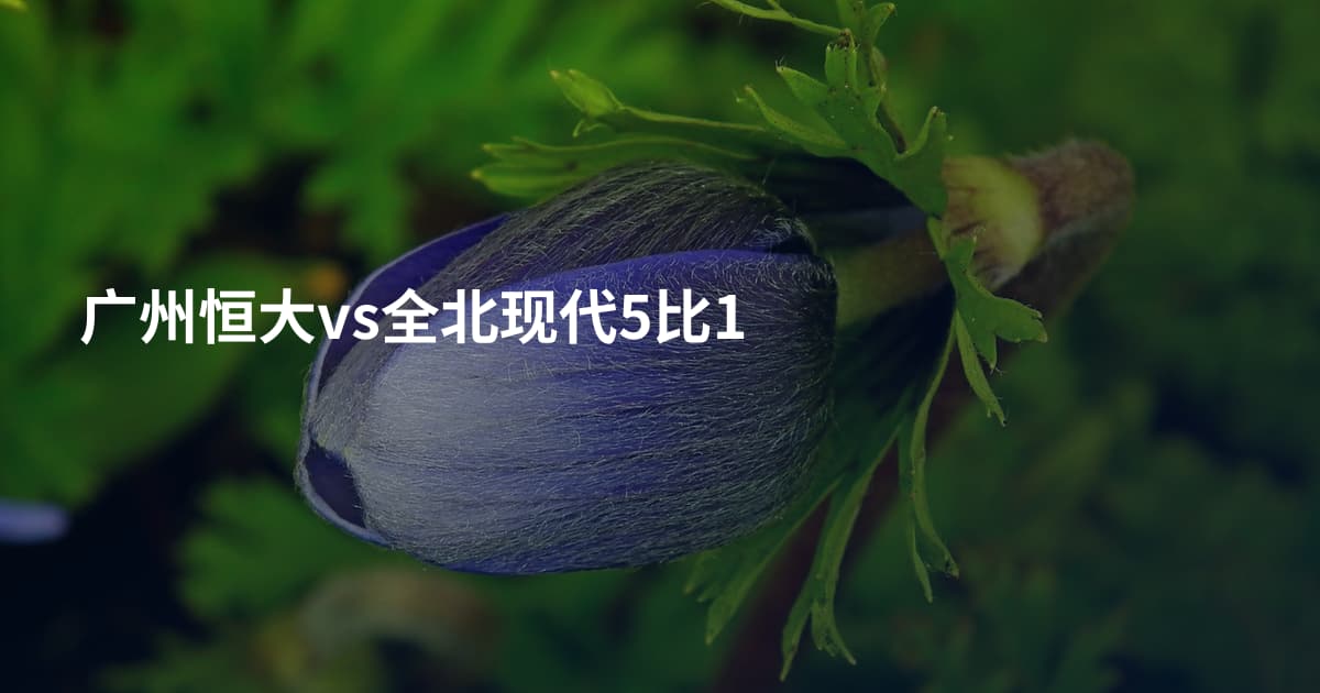 广州恒大vs全北现代5比1