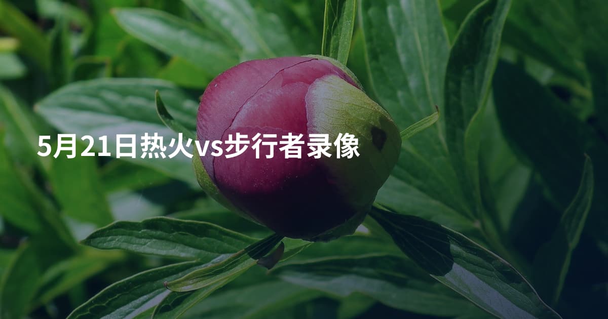 5月21日热火vs步行者录像