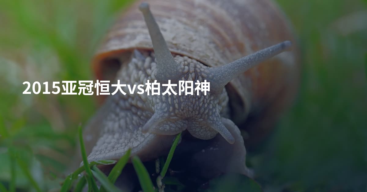 2015亚冠恒大vs柏太阳神