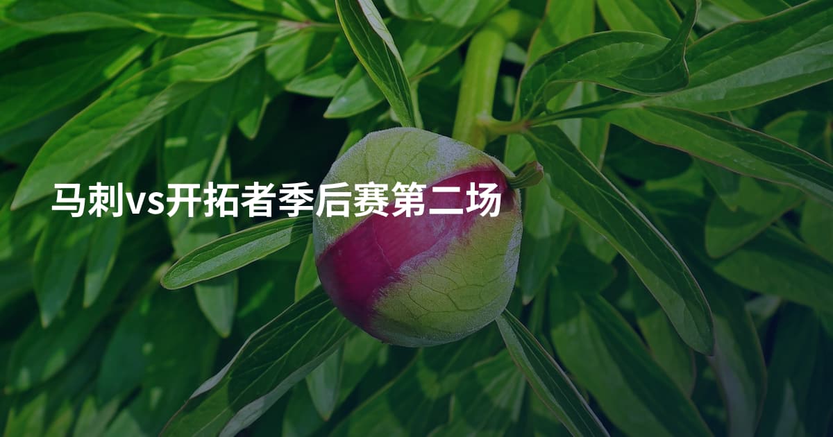 马刺vs开拓者季后赛第二场