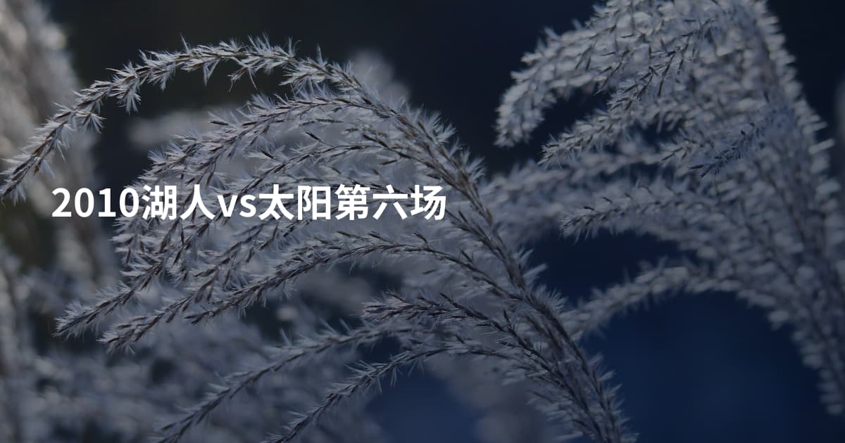 2010湖人vs太阳第六场