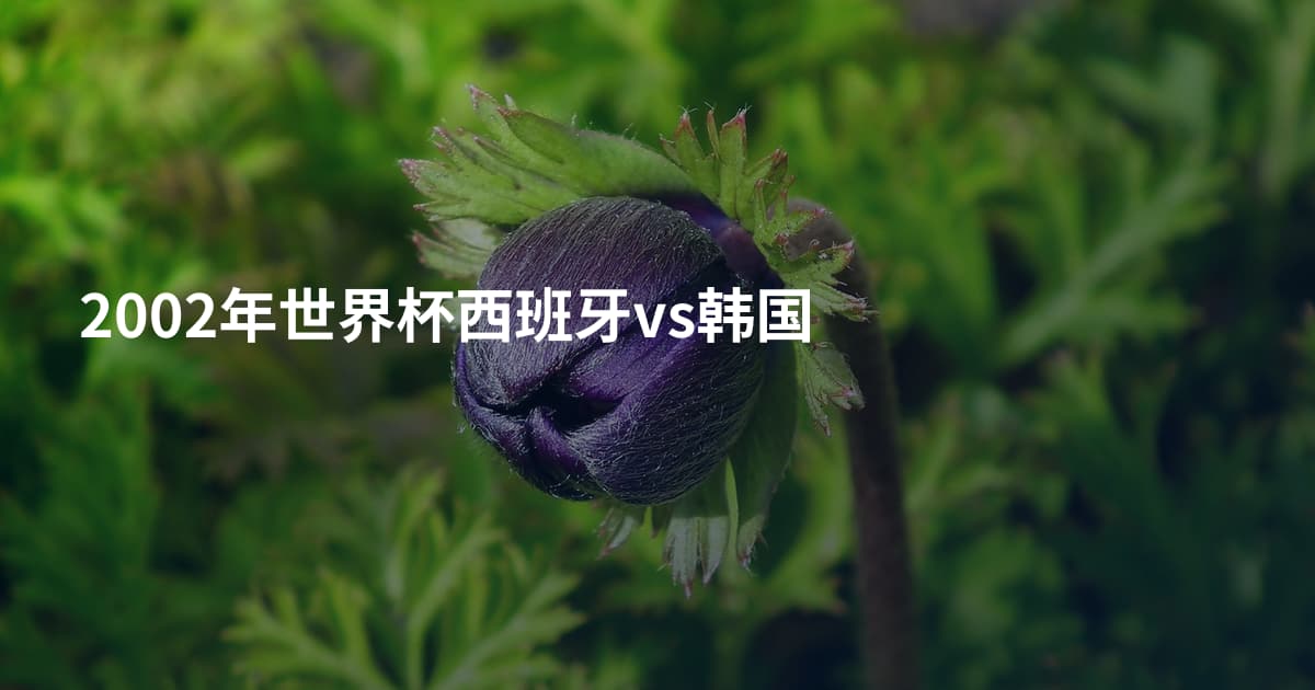 2002年世界杯西班牙vs韩国